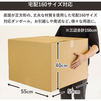トッパン・コスモ 160サイズダンボール 2枚セット 55×55×40cm FD22-0002-SK 1セット(2枚)（直送品）