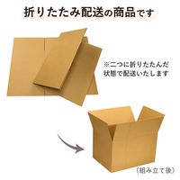トッパン・コスモ 120サイズダンボール 3枚セット 45×35×27.5cm FD40-0003-SK 1セット(3枚)（直送品）