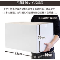 トッパン・コスモ 140サイズ白ダンボール 5枚セット 53×38×33cm FW04-0005-SK 1セット(5枚)（直送品）