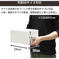 トッパン・コスモ 60サイズ白ダンボール 10枚セット 24×19×14cm FW08-0010-SK 1セット(10枚)（直送品）