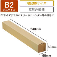 トッパン・コスモ ポスターカレンダーダンボール B2 300枚セット MA02-0300-SK 1セット(300枚)（直送品）