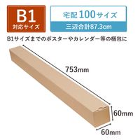 トッパン・コスモ ポスターカレンダーダンボール B1 500枚セット MA07-0500-SK 1セット(500枚)（直送品）