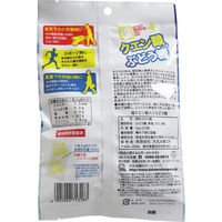 大丸本舗 塩+クエン酸入り ぶどう糖 2g 1袋(20粒)