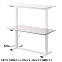 サンワサプライ 電動昇降作業台 塩ビ天板 幅1200×奥行600mm ベージュ×ホワイト ERD-WDKP12060BG 1台（直送品）