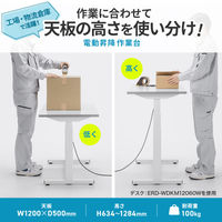 サンワサプライ 電動昇降作業台 メラミン化粧天板 幅1200×奥行500mm ホワイト ERD-WDKM12050W 1台（直送品）