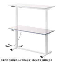 サンワサプライ 電動昇降作業台 塩ビ天板 幅1200×奥行500mm ベージュ×ホワイト ERD-WDKP12050BG 1台（直送品）
