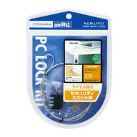 コクヨ パソコンロックキット EAS-L6N 1個