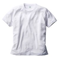 フェリック TRUSS サステナブル リサイクルポリエステル Tシャツ 半袖 吸汗速乾 ブラック RPT-925-2-L L 1枚（直送品）