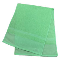 日繊商工 感謝の熨斗付き「少し長め日本製タオル/緑色」【名刺ポケット付袋入】 PC401GR-kansha-360 1箱(360枚入)（直送品）