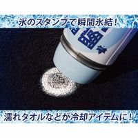 LOGOS 瞬間アイススタンプ 81336860 1セット（1本×2） LOGOS/ロゴス