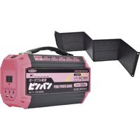 日動工業 NICHIDO 防災ロッカー 【Cセット】ピンバンセット BCP-2-C 1セット 567-0704（直送品）