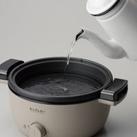 アピックス 電気蒸しせいろ むしざんまい AMZ-450（GY） 1台