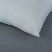 川島織物セルコン 圧縮ポリエステル中材 LT1510 60×35cm LT1510_09 1個（直送品）