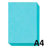 大王製紙　ダイオーマルチカラープリンタ用紙　86415　A4　1冊（500枚入）　空色（わけあり品）