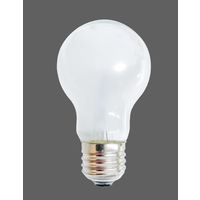 白熱電球 E26 40W形 シリカ電球 シリカ球 ALEG LW100V38W WHITE A55 1パック（2個）
