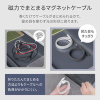 オウルテック マグネットケーブル CtoC【スタンダード】 ブラック OWL-CBMGCC10-BK 1個