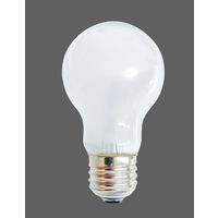 白熱電球 E26 60W形 シリカ電球 シリカ球 ALEG LW100V57W WHITE A55 1パック（2個）