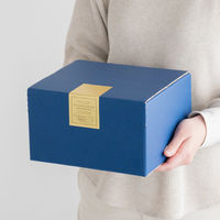 【60サイズ】ヘッズ 無地ツートーン撥水宅配BOX-2 MTN-HCT2 W237×D216×H142mm 1梱包（10枚入）