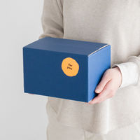 【60サイズ】ヘッズ 無地ツートーン撥水宅配BOX-4 MTN-HCT4 W216×D146×H142mm 1セット（100枚）