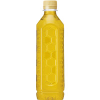 【特保・トクホ】サントリー 伊右衛門特茶 ラベルレス 500ml 1箱（24本入）