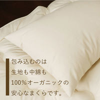 ハート オーガニック枕 レギュラー 4793 1個（直送品）