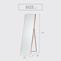 武田コーポレーション スタンドミラーワイドGD A3-SM150GD 1箱(1個入)（直送品）