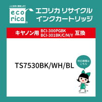 エコリカ キヤノン（Canon）用 リサイクルインク ECI-C300B ブラック顔料 BCI-300PGBK対応 1個