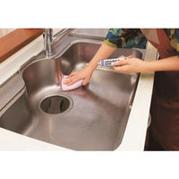 ソフト99コーポレーション ソフト99 ステンレスメッキミガキ50g 20504 1個