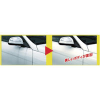 ソフト99コーポレーション ソフト99 水アカストロングクリア 00495 1本