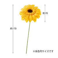 ヘッズガーベラフルリールーS/イエローー4 1袋（12本入）