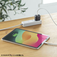 サンワサプライ  USB PD対応AC充電器（PD30W） ACA-PD99BK（直送品）