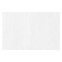 アイリスオーヤマ ペット用ウェットティッシュ8P DPWT-8P 1袋(8パック入)