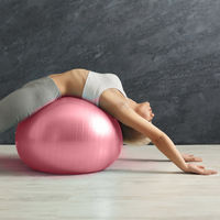 武田コーポレーション ノンバーストフィットネスボール65 NBF-65MGT 1箱(12個入)（直送品）