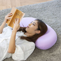 武田コーポレーション ビーンズまくらPU NRY-BEANPU 1箱(5個入)（直送品）