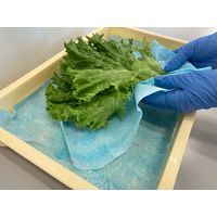 日本製紙クレシア ワイプオールX50 クロスライク ブルー Lサイズ 6つ折り 60665 1パック