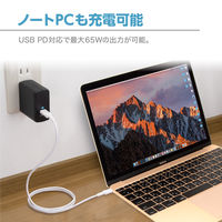 USB充電器 PD65W対応 USB-C & USB-A IXAC65PD センチュリー