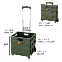 東谷 フォールディングキャリーワゴン LFS-35SBE 1台（直送品）
