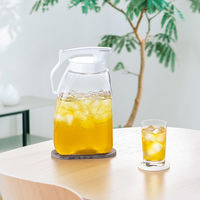 イシガキ 珪藻土 ピッチャートレー オーバル Karari HO2108 1個