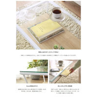 岩附 ガラステーブル IW-317 1個（直送品）　ナチュラル（直送品）