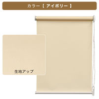 トーソー 【規格品】チェーンタイプ・ロールスクリーン 幅35cm×高さ150cmアイボリー 4975559890470 1セット（直送品）