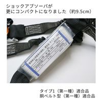アイダ ランヤード 20BL-ASBL-T1-100KG_ブラック 1個（直送品）