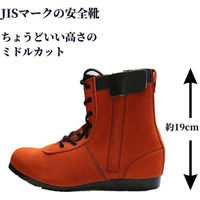 アイダ 椿モデル安全靴_グレー_25.5 BP-11グレー_25.5 1足（直送品）