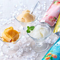 アデリー ホシフルーツ 凍らせてもおいしい国産フルーツジュレ 彩果しずく 10袋 HFSI-10 1箱（直送品）