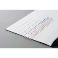 ライオン事務器 アクリル製ピックアップ定規 15cm L-5 日本製 27065 1本