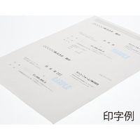 国永紙業 伝票用紙 Aー4 2分割 007574905 1冊(500枚)