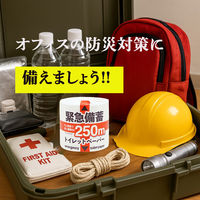 イトマン 緊急備蓄1R250S 10250004 1ロール