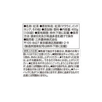 日東紅茶 水出しアイスティー アールグレイ 500ml用 1袋（100バッグ入）三角ティーバッグ 大容量 業務用