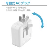 センチュリー コンセント用充電器2.4A AC24-A2 1台（直送品）