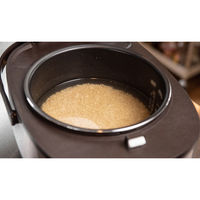 太知ホールディングス 発芽玄米炊飯器 ARM-500 1個（直送品）