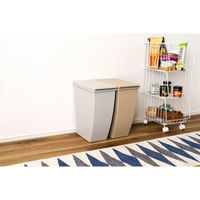 東谷 ROOM ESSENCE スリムコンテナ 20 20L 幅203×奥行384×高さ430mm グレー LFS-846GY 1個（直送品）